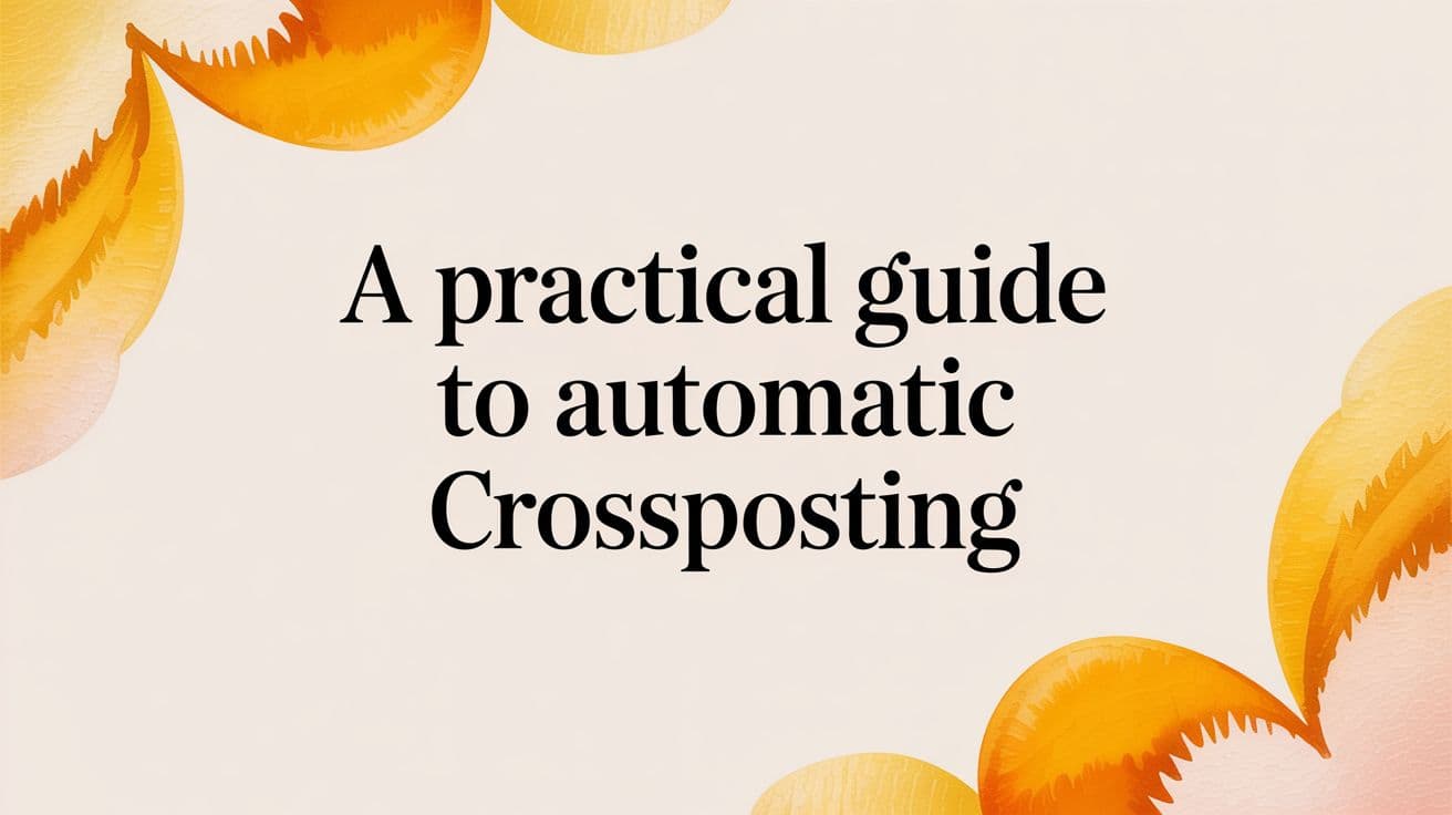 A Practical Guide to Automatic Crossposting